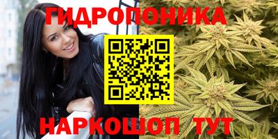 прущие грибы Гусь-Хрустальный