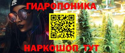 прущие грибы Гусь-Хрустальный