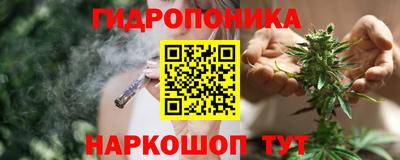 прущие грибы Гусь-Хрустальный