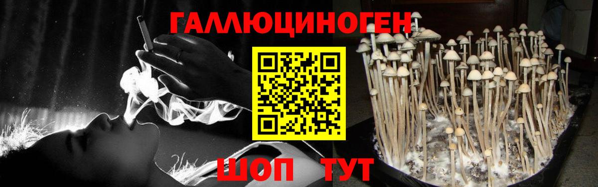 Псилоцибиновые грибы Cubensis Ижевск